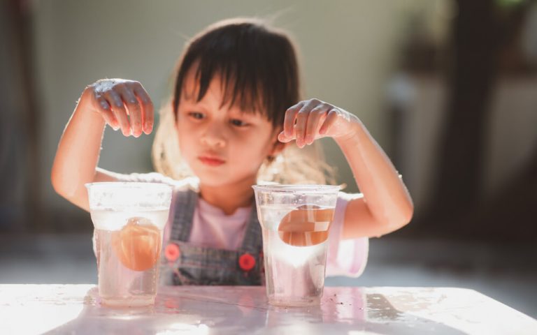Montessori Science Activities