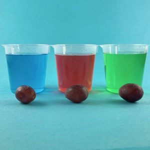 Rainbow Water and Floating Grapes