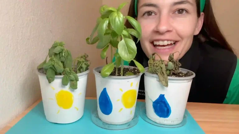 Needs of the Plant