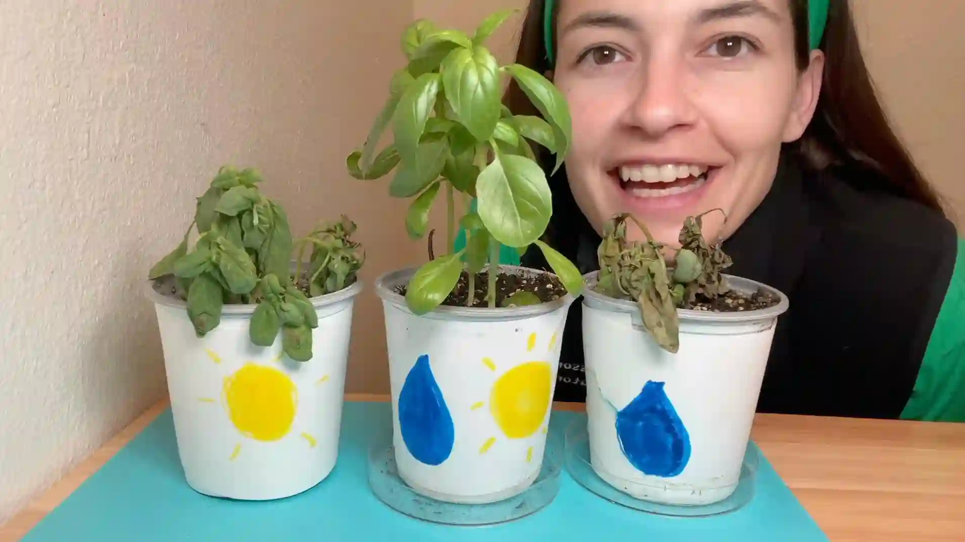 Needs of the Plant