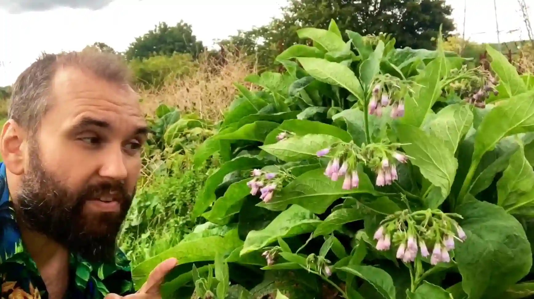 Plant Nature Walk (Intro to Botany)