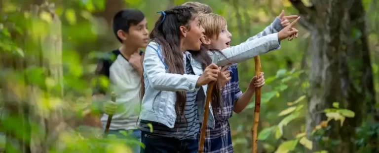 Montessori Nature Walk Activities