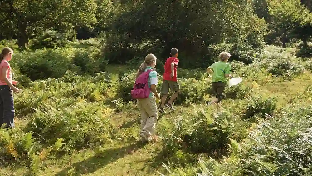 Final Thoughts Montessori Nature Walk Activities