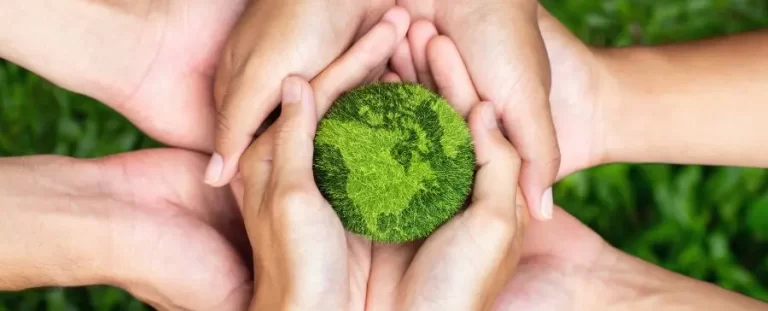 Environmental Science Projects: Montessori & Environmental Stewardship