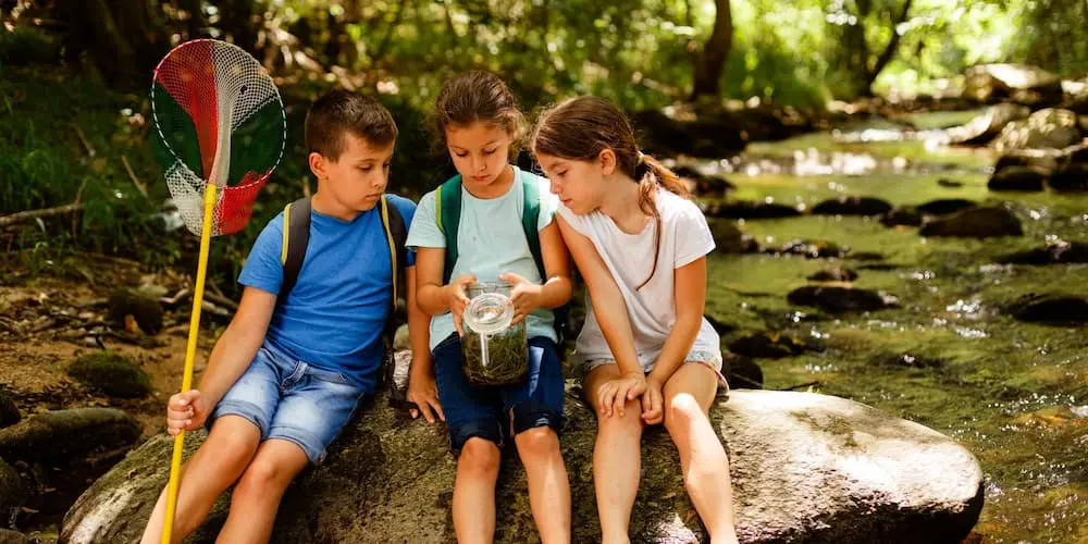 3 niños explorando y haciendo observaciones en un río