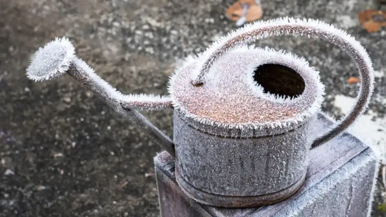 Frost in a Can​