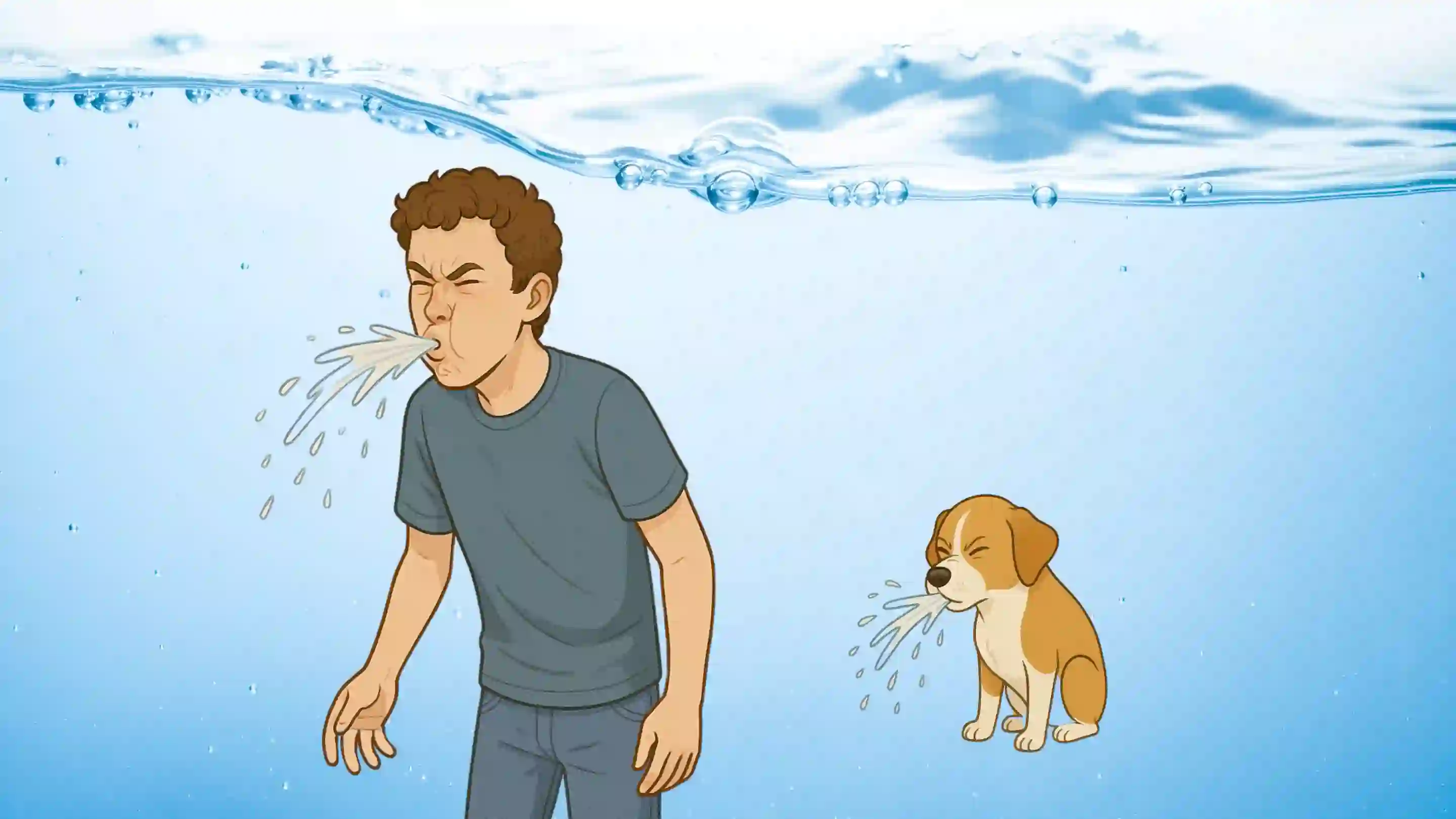 Water Quality and Treatment