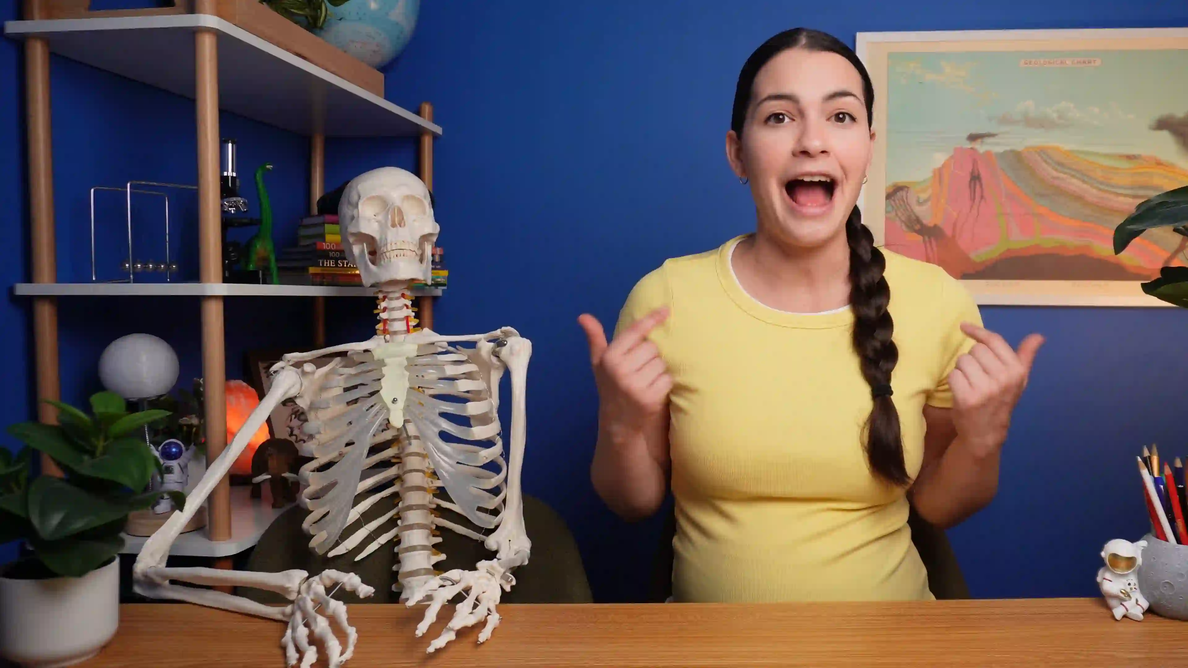 Muscles and Bones